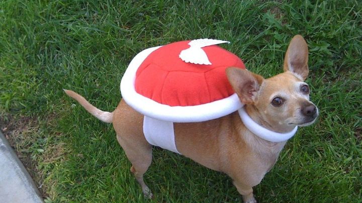 ¿Eres 'gamer'? Estos fantásticos nombres para perro inspirados en videojuegos te encantarán