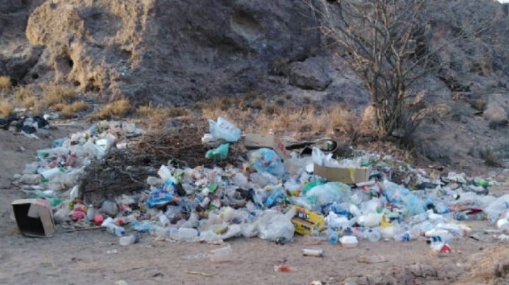 Gente convierte en basurero unidad deportiva de Empalme