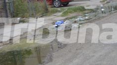 Navojoa: Aguas negras en el fraccionamiento Infonavit, un foco de infección en vecinos