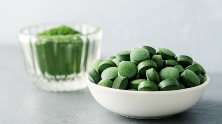 IPN estudia proteínas del alga Spirulina que fortalecerían el sistema inmunológico