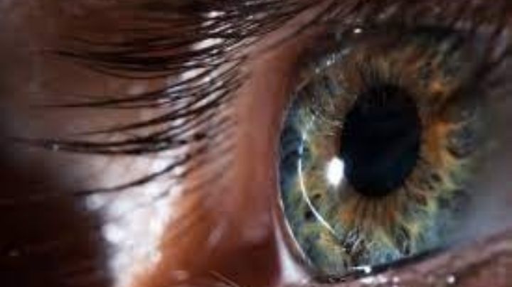 De impacto: Esto es lo que dicen tus pupilas sobre tu inteligencia y la de las personas