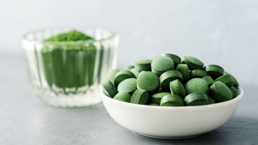 IPN estudia proteínas del alga Spirulina que fortalecerían el sistema inmunológico