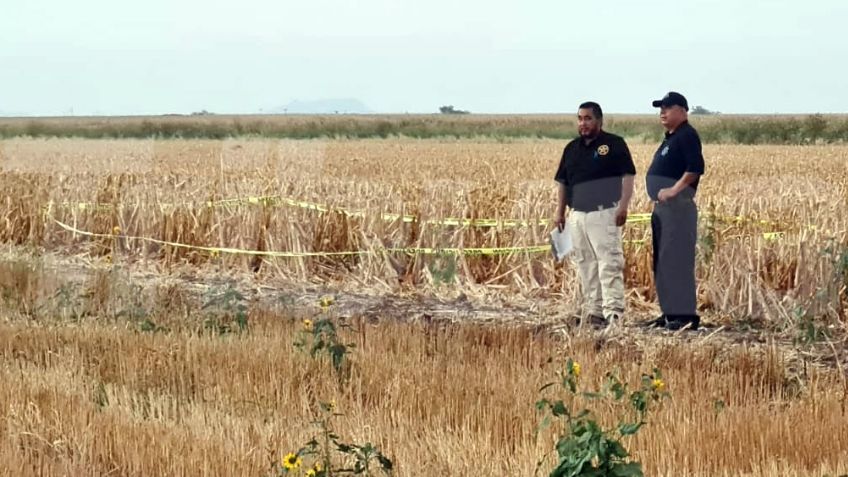 Bácum: Localizan cadáver putrefacto en medio de campo agrícola del Valle del Yaqui