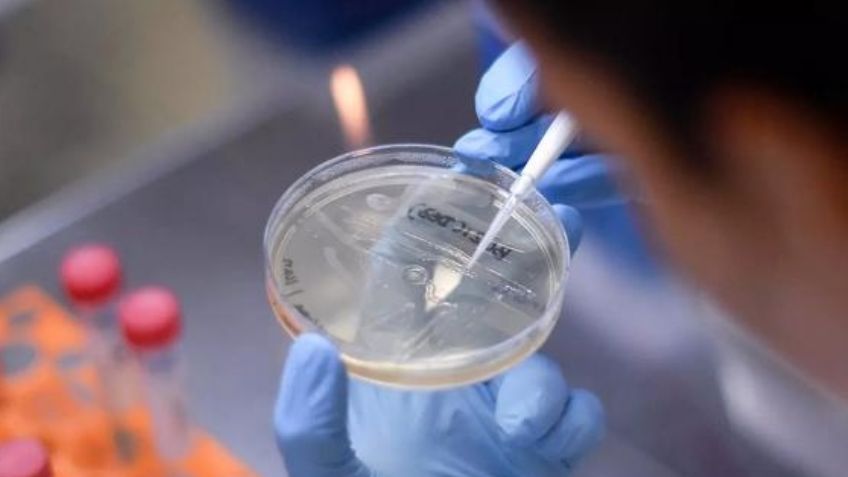 Advierte la OMS que seguirán apareciendo variantes de Covid-19 que "serán problemáticas"