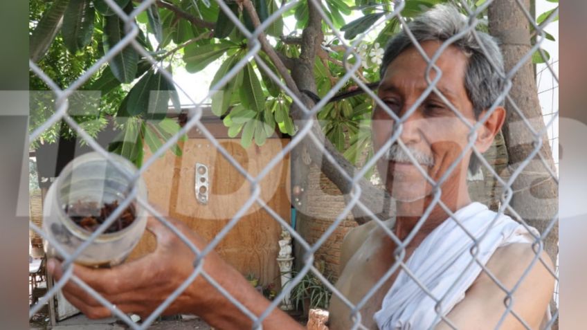 Ciudad Obregón: Vecinos de la colonia Benito Juárez reportan aumento en la presencia de alacranes