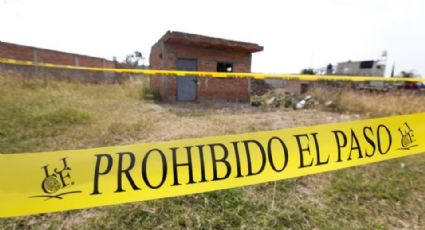 Fosa clandestina en Jalisco: Hallan 17 bolsas con restos humanos; un perro llevaba un hueso