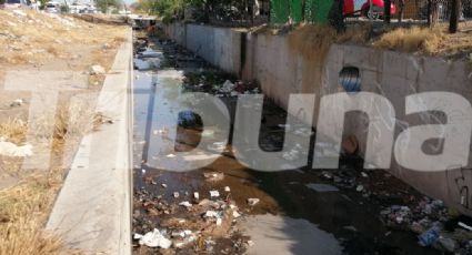 Basura en canales pone riesgo a Hermosillo ante inundaciones; habría taponamientos en alcantarillas