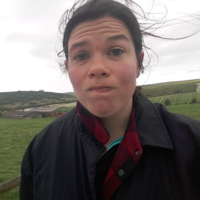 Josie Jolley se suicidó después de que desestimaran su alegación de violación