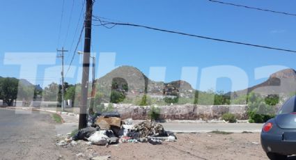 Estos son los principales servicios a solucionar para el nuevo alcalde Guaymas