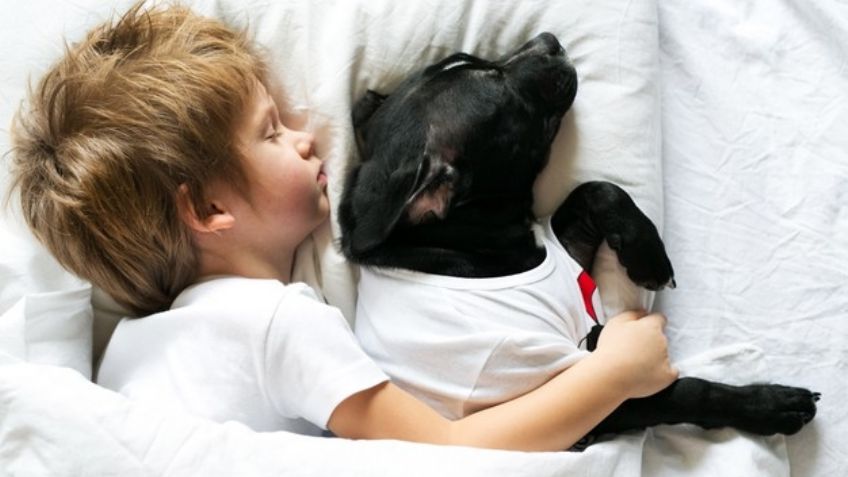 Niños que duermen con sus perros tienen un mejor descanso, según estudio