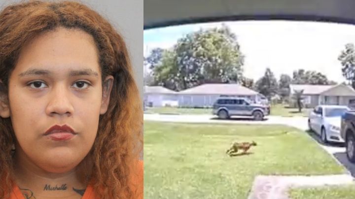 FUERTE VIDEO: ¡Brutal! Mujer intenta matar a tiros a perro y balea a su hijo de 5 años por error