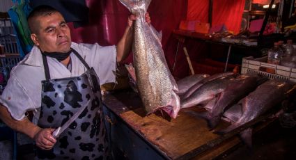 Sader informa sobre pescados y mariscos disponibles todo el año