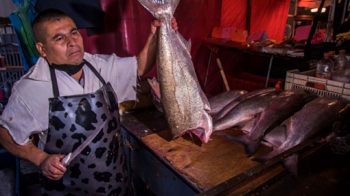 Sader informa sobre pescados y mariscos disponibles todo el año