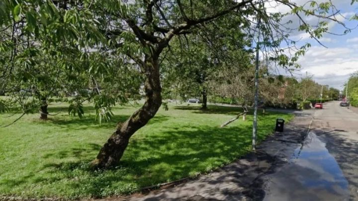 Brutal abuso: Joven de 17 años esperaba a su amiga en el parque; la someten y la violan