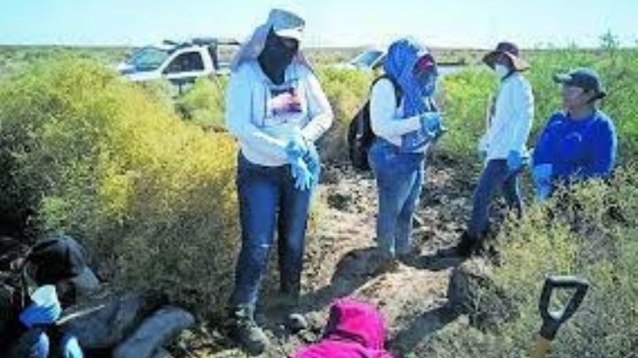 Madres Buscadoras de Sonora reportan hackeo de su cuenta de Facebook