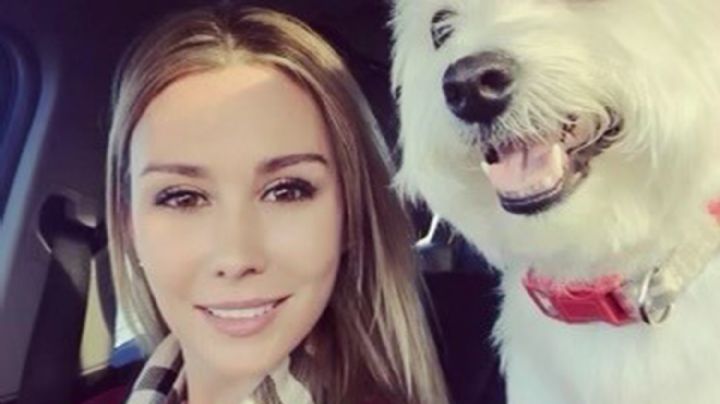 Dos perros enormes lastiman a una mujer y matan a una mascota en una serie de ataques