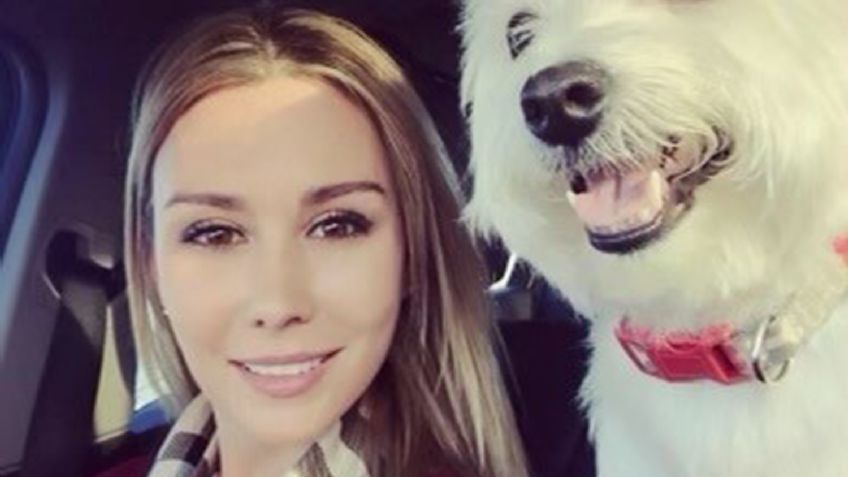 Dos perros enormes lastiman a una mujer y matan a una mascota en una serie de ataques