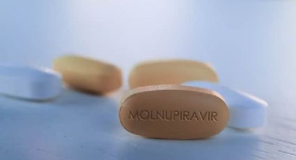 EU compra más de 1.7 millones de lotes de Molnupiravir; podría ser efectivo contra el Covid-19