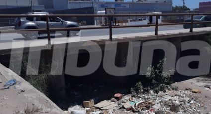 Colonias corren riesgo por falta de limpieza en arroyos y canales en Guaymas