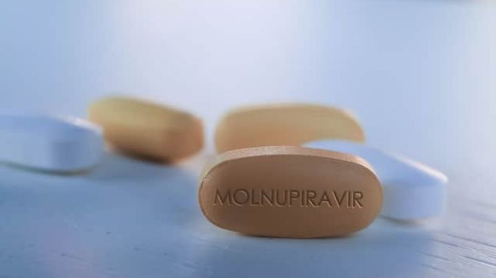 EU compra más de 1.7 millones de lotes de Molnupiravir; podría ser efectivo contra el Covid-19