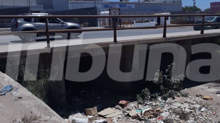 Colonias corren riesgo por falta de limpieza en arroyos y canales en Guaymas