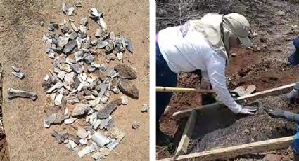Macabro hallazgo en Navojoa: Encuentran restos humanos sepultados en terreno baldío