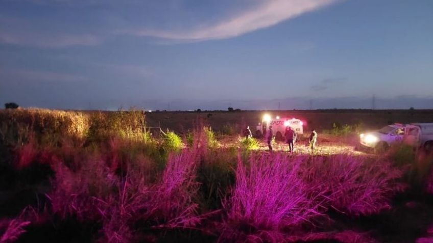 Hombre es localizado sin vida en medio de una parcela en Sinaloa; estaba putrefacto