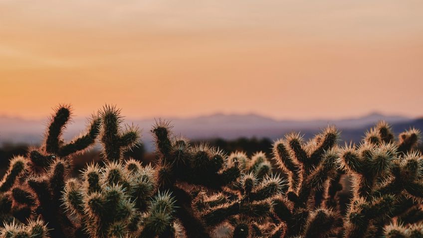 ¡Alerta por calor y lluvias! Así será el clima este jueves 5 de agosto del 2021 en Sonora