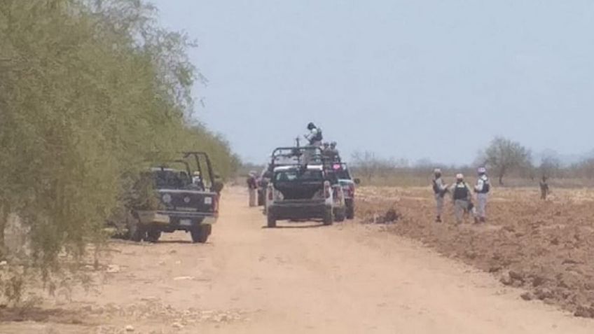 Sonora: Encuentran sin vida a joven en predio del Valle de Guaymas; le dieron el 'tiro de gracia'