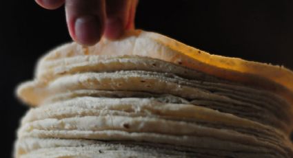 Precio de la tortilla de maíz en Sonora sigue a la alza por inflación; alcanza hasta 28 pesos