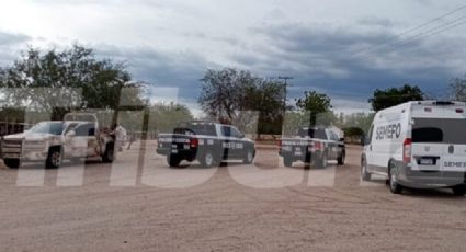 Acribillan y matan a un hombre en el campo agrícola 'La Jaimea' en el Valle de Guaymas