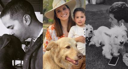 Día del perro: Famosos homenajean a sus amigos de 4 patas con FOTOS en redes sociales