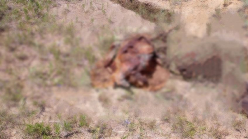 Irreconocible: Encuentran cuerpo deformado; intentaron disolverlo con sustancia química