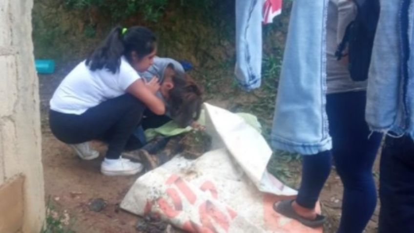 Muere niño de 3 años tras brutal ataque de un pitbull; se acercó para acariciarlo