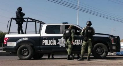 Terror en Zacatecas: Amanecen 4 cuerpos colgados de un árbol con narcomensaje