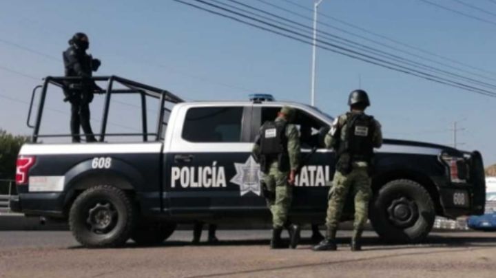 Terror en Zacatecas: Amanecen 4 cuerpos colgados de un árbol con narcomensaje