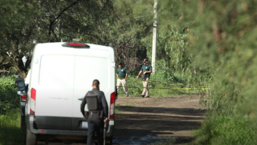 Cortado en pedazos y dentro de una caja, hallan cuerpo putrefacto en Guanajuato