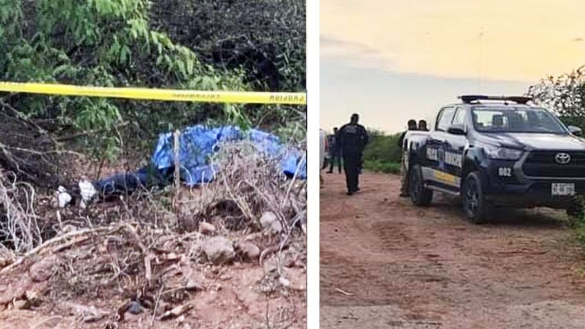 Encuentran cadáver de mujer en predio de Hermosillo; le fue mutilada una extremidad