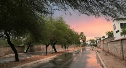 ¡Precaución! Pronóstico del clima y el tiempo para hoy 11 de agosto en el estado de Sonora