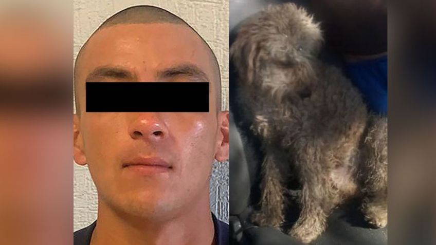 Por amenazar a su ex y asesinar a 'Carmelo', un perro de 6 años, cae Luis Alberto en Hermosillo