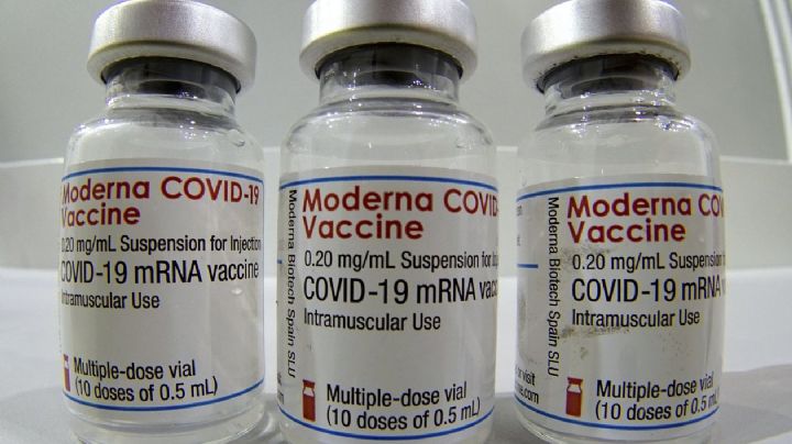 ¿Vacuna contra la gripe? Moderna se prepara para lanzarla; estaría basada en la del Covid-19