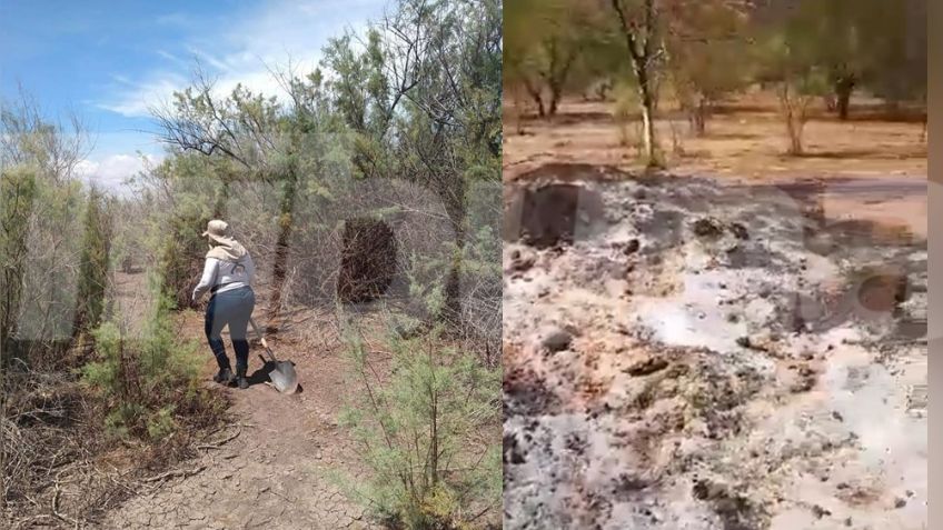 Guaymas: Buscadoras localizan tres fosas clandestinas con restos calcinados en el Poblado de Ortiz