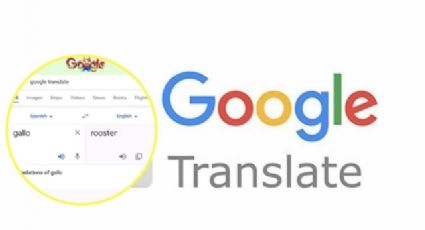 VIRAL: El extraño sonido de la palabra ‘gallo’ en el traductor de Google: "Miren lo que pasa"