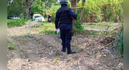 Veracruz: Campesino descubre el cuerpo violentado de un hombre entre una brecha y un campo de siembras