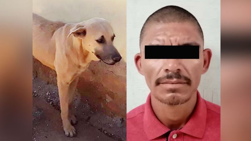 Hermosillo: Cae 'El Choya' por herir de muerte a 'Alonso', un perro de 4 años; lo tuvieron que dormir