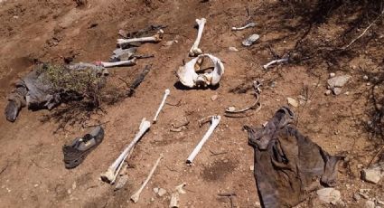 Escalofriante hallazgo: Descubren huesos humanos en monte del norte de Sonora