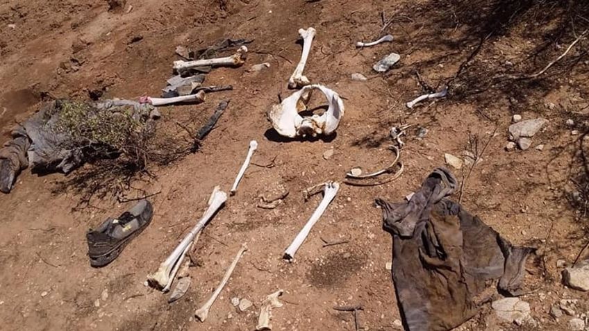 Escalofriante hallazgo: Descubren huesos humanos en monte del norte de Sonora