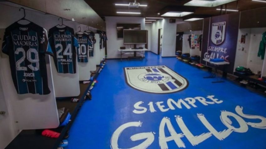 Liga MX: Gallos Blancos ya tiene nuevo entrenador tras el despido de 'Pity' Altamirano