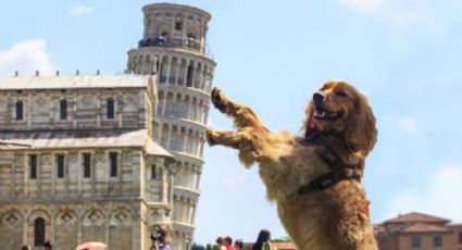 ¡'Mamma mia'! Llama a tu perro de forma original con estos nombres inspirados en Italia