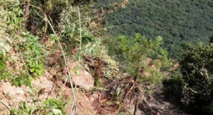 2 empleados mueren tras caer su camión en un barranco de mil metros